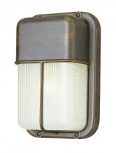  41103 WH - Well 10-In. Outdoor Pocket Lantern